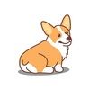 discount_corgi
